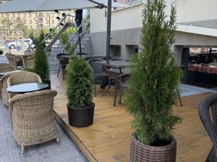 Harat`s pub