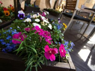 Утровечера