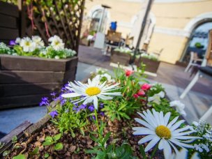 Утровечера