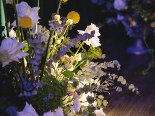 Ботаника Холл