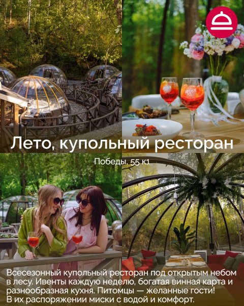Поддборка Дог-френдли рестораны в Новосибирске