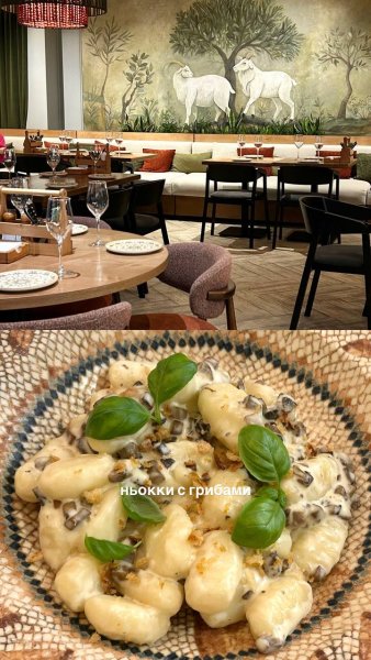 Коза и олива, ресторан — обзор @iloveat21