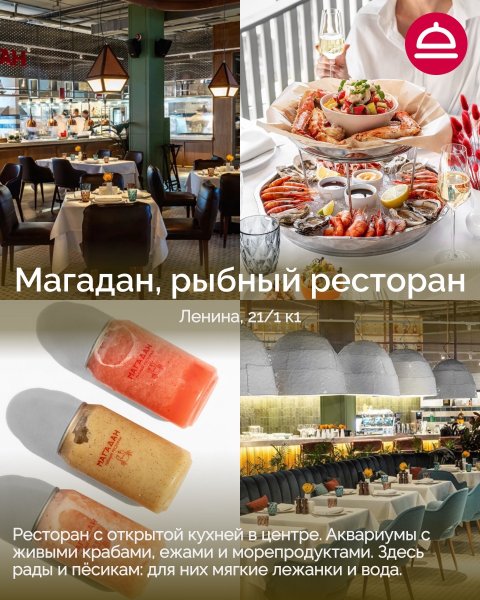Поддборка Дог-френдли рестораны в Новосибирске