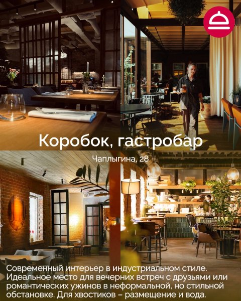 Поддборка Дог-френдли рестораны в Новосибирске