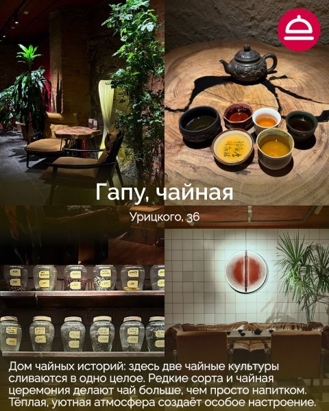6 новых мест в Новосибирске: пицца, вино, пиво и чайные истории