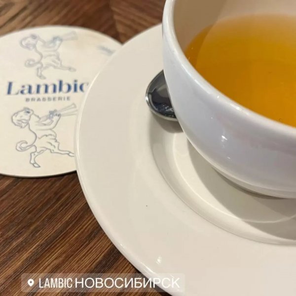 Lambic – обзор @galina_valise