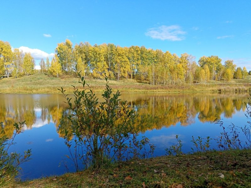 Мира Парк — рекомендация Натальи