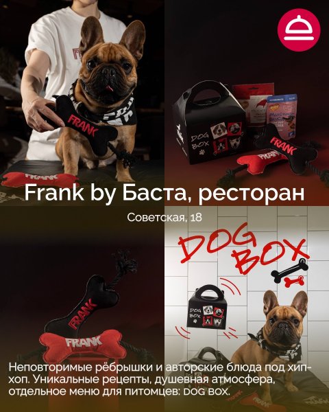 Поддборка Дог-френдли рестораны в Новосибирске
