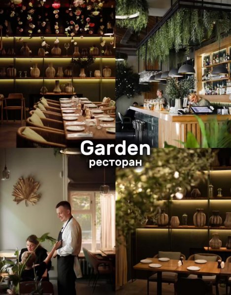 Куда идти вечно голодным фанатам сериала “Сумерки”?