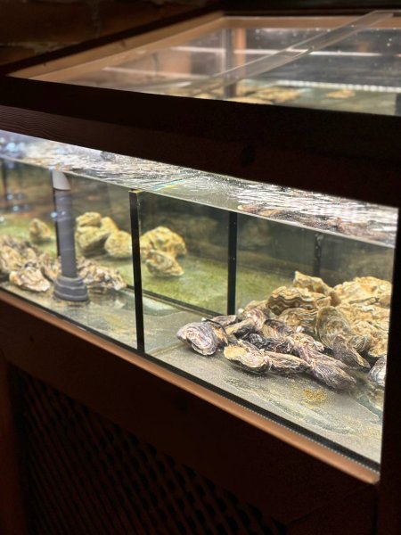 Обзор Третий бар — @green_z_ann_alcho