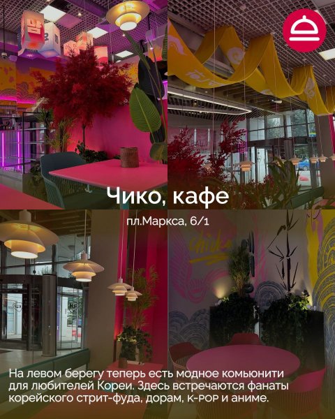6 новинок гастрономической карты Новосибирска